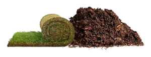 dirt sod